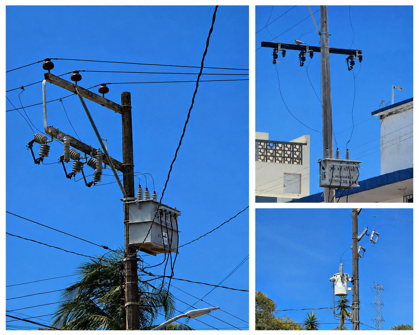 Variación de geometrías en puentes eléctricos con protección profauna LVP aplicada